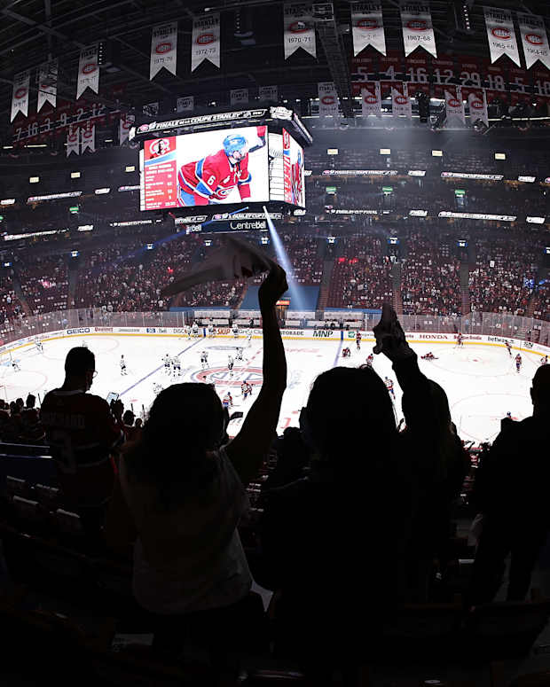 hockey fans